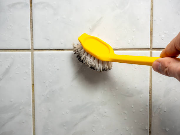 Best Mold Damage Repair  in Biglerville, PA