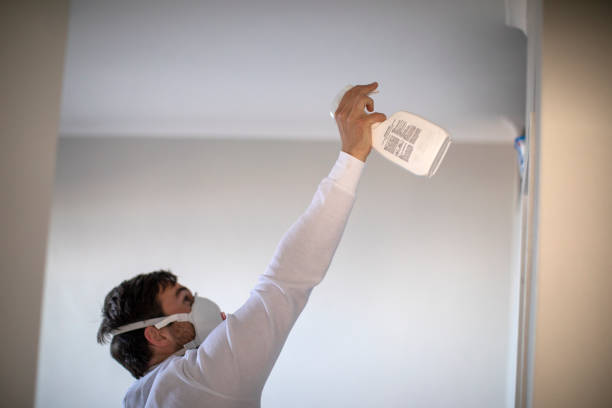 Best Local Mold Removal Service  in Biglerville, PA