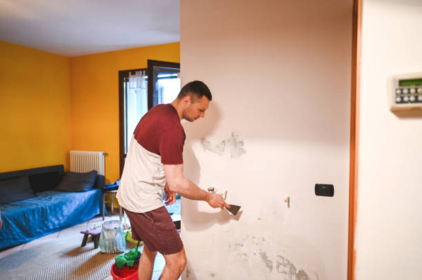 Best Mold Remediation  in Biglerville, PA