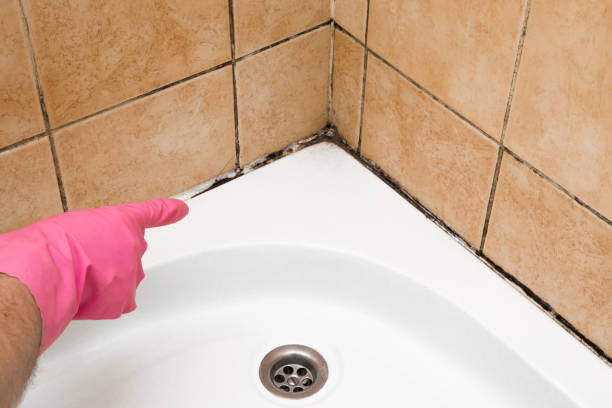 Best Mold Inspection  in Biglerville, PA